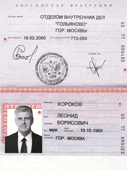 Что такое цифровой паспорт гражданина РФ