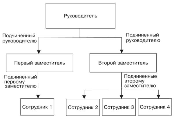 Как создать организационную структуру (с бесплатными шаблонами)